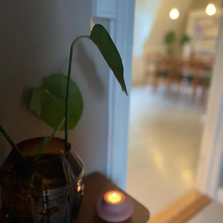 Apartamento Charming In Center With Free Parking Ålesund