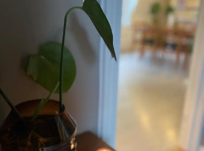 Apartment Charming In Center With Free Parking Alesund